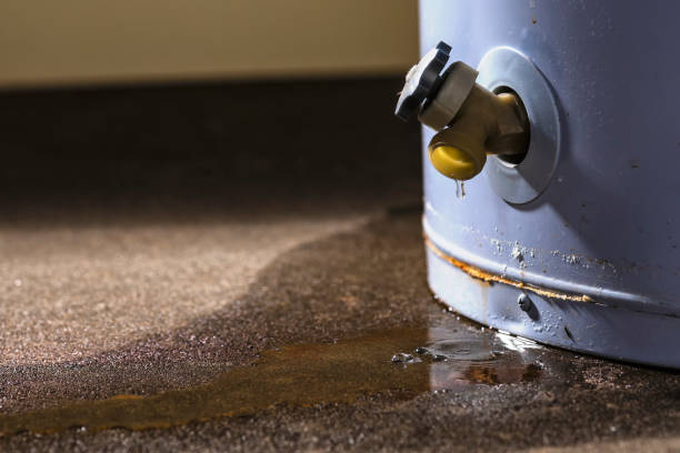 Best Water damage restoration near me  in Girardville, PA