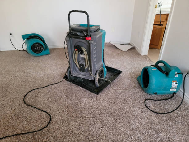 Best Water damage restoration mold remediation  in Girardville, PA