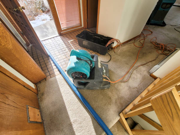 Best Flood restoration services  in Girardville, PA