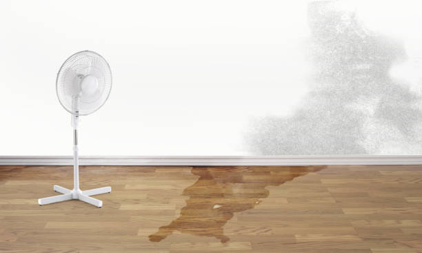 Best Water damage restoration near me  in Girardville, PA