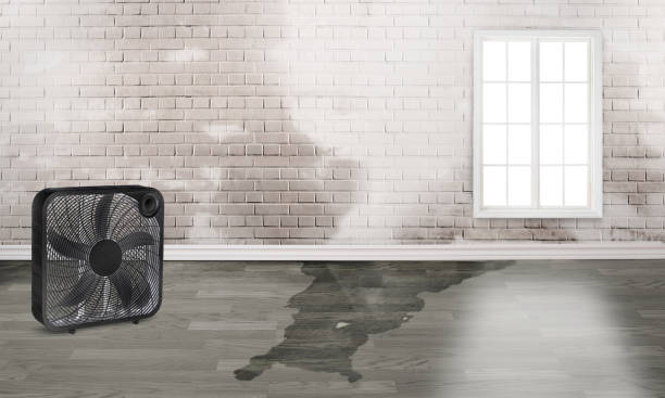 Best Emergency water damage restoration  in Girardville, PA