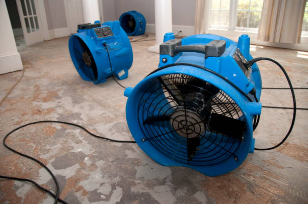 Best Fire Damage Restoration  in Girardville, PA