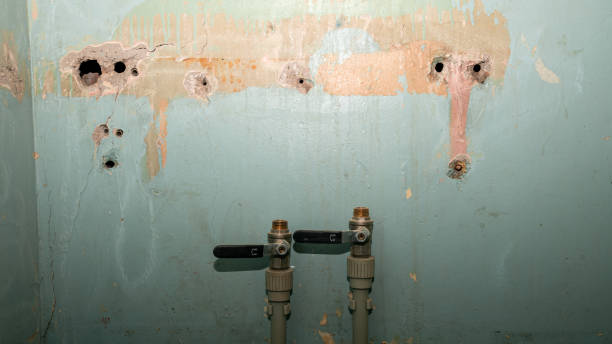 Best Carpet water damage restoration  in Girardville, PA