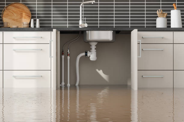Best Professional water damage repair  in Girardville, PA