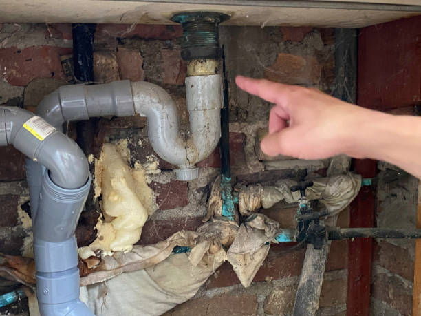 Best Local water damage restoration  in Girardville, PA