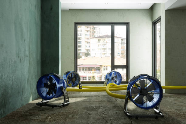 Best 24/7 water damage repair  in Girardville, PA